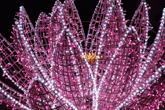 luminarie-ninfea-a-terra