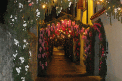 composizioni-di-fiori-luminarie