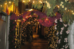 composizioni-di-fiori-luminarie2