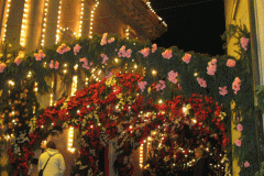 composizioni-di-fiori-luminarie4