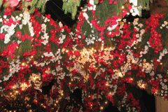 composizioni-di-fiori-luminarie5