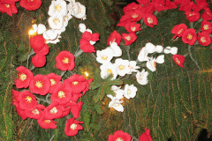 composizioni-di-fiori-luminarie6