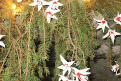 composizioni-di-fiori-luminarie7