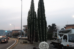 albero-illuminato