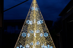 albero